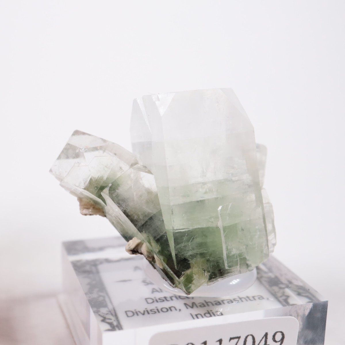 ����ɻ� ���ݥե��饤��