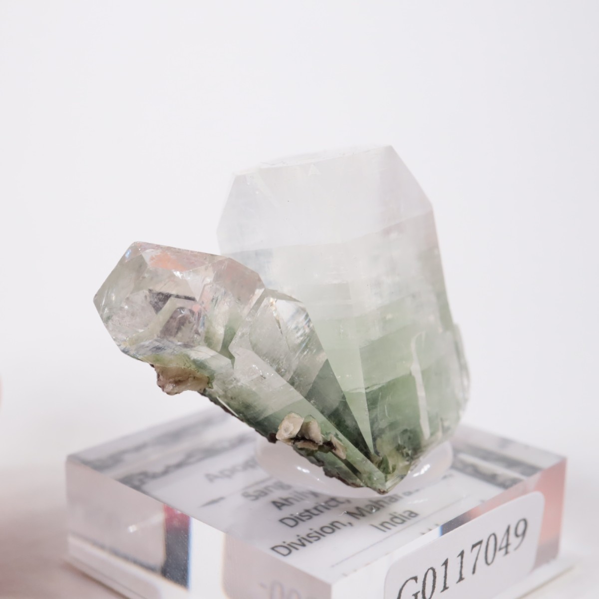 ����ɻ� ���ݥե��饤��