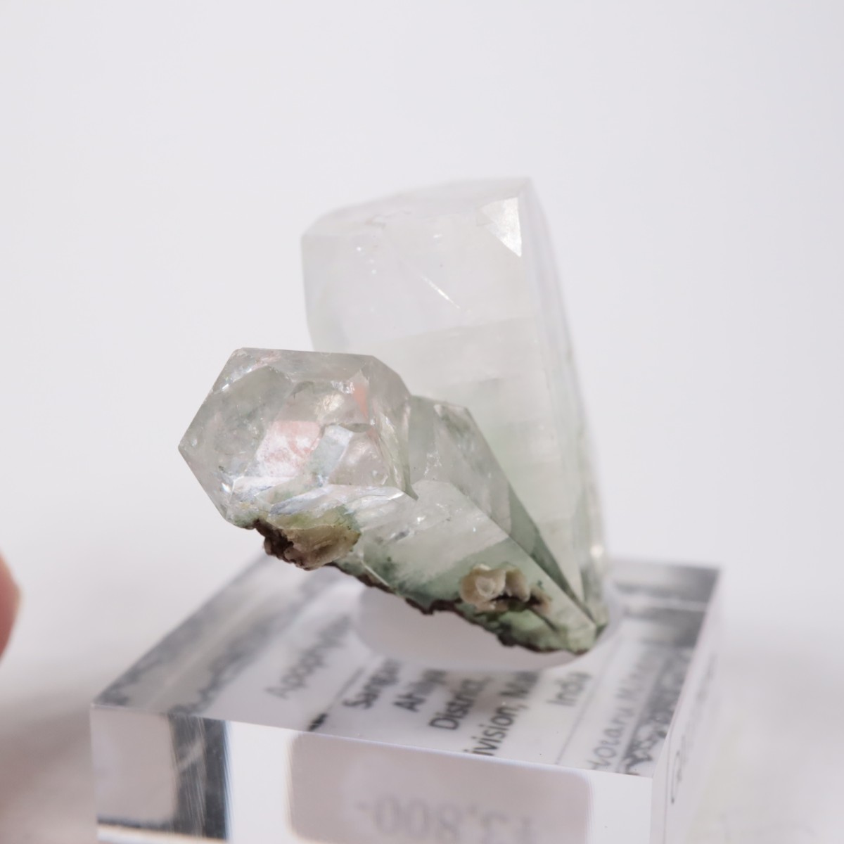 ����ɻ� ���ݥե��饤��