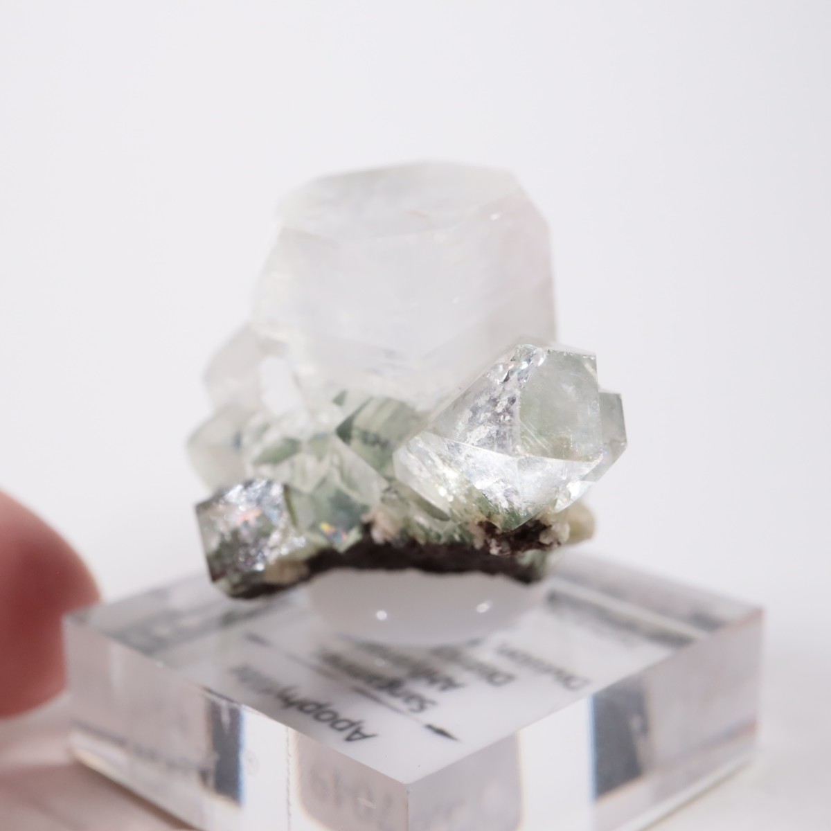 ����ɻ� ���ݥե��饤��