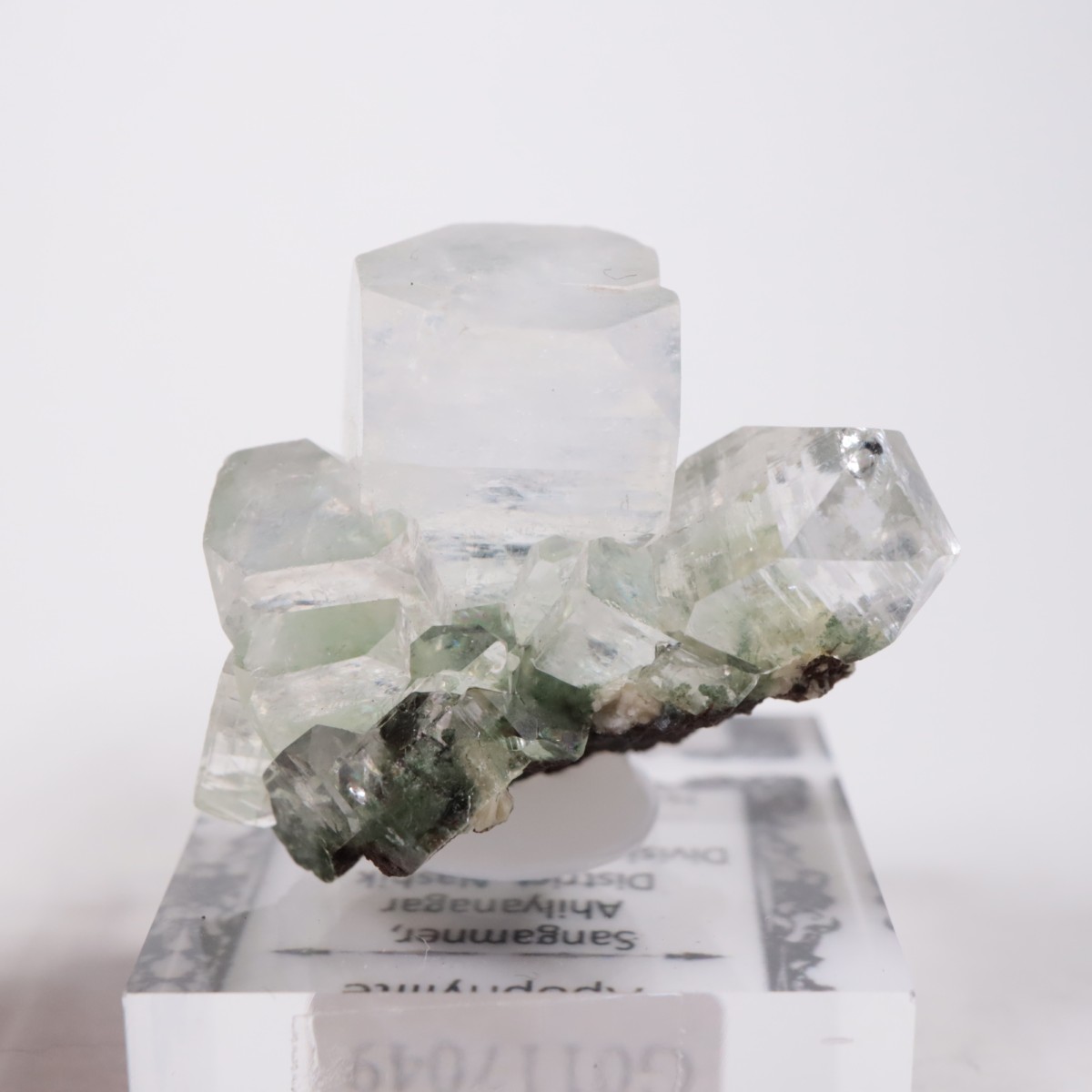 ����ɻ� ���ݥե��饤��