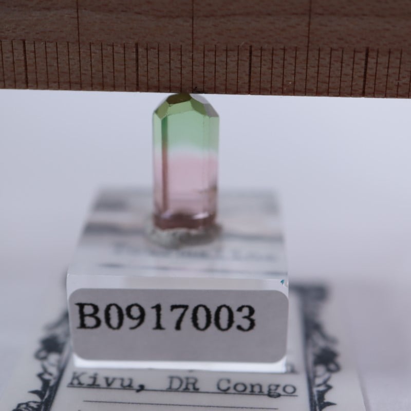 Rubaya鉱山産 トルマリン | 鉱物標本,タ行,トルマリン/電気石 | ほたる