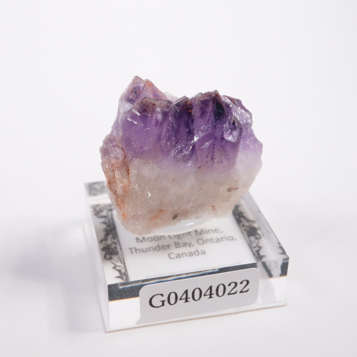 ���ʥ��� ���᥷����with�إޥ�����