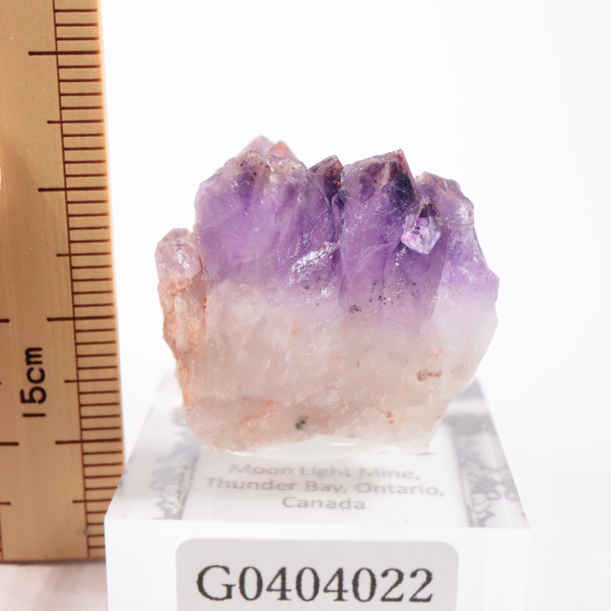 ���ʥ��� ���᥷����with�إޥ�����