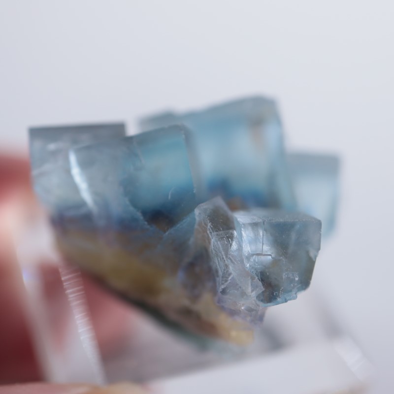 La Barre鉱山 フローライト | 鉱物標本,ハ行,フローライト/蛍石