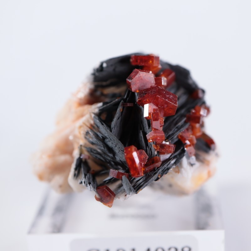 ����å������Хʥǥ��ʥ���