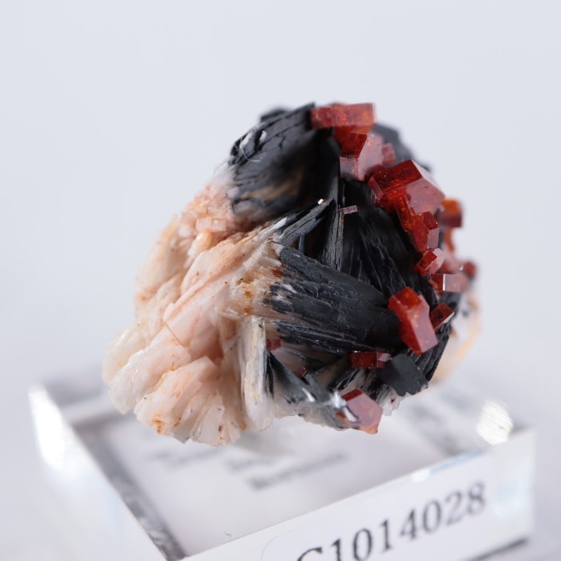 ����å������Хʥǥ��ʥ���