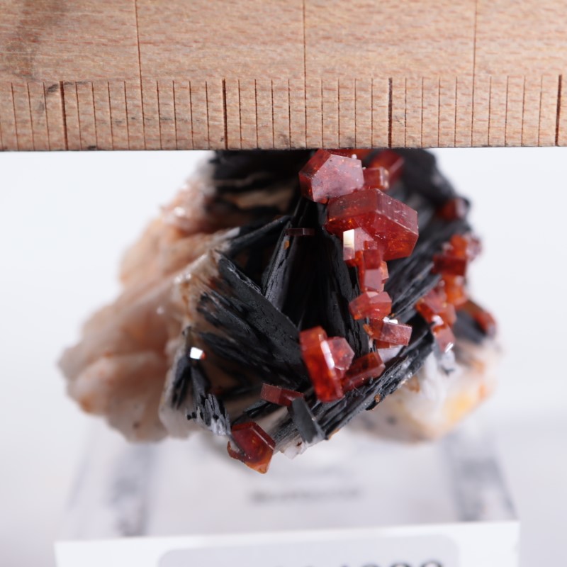 ����å������Хʥǥ��ʥ���