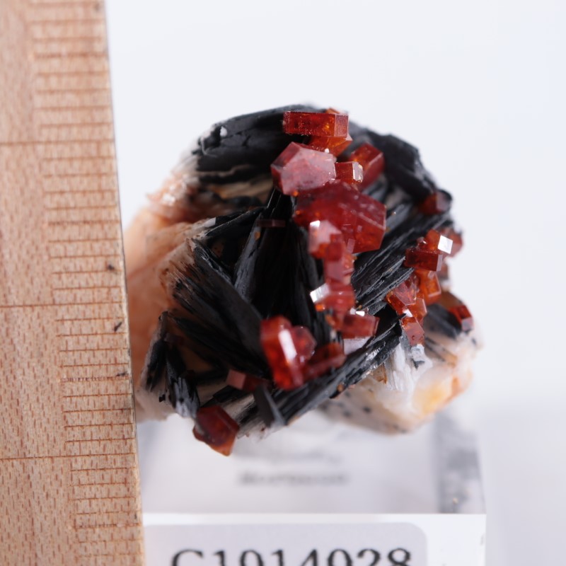 ����å������Хʥǥ��ʥ���