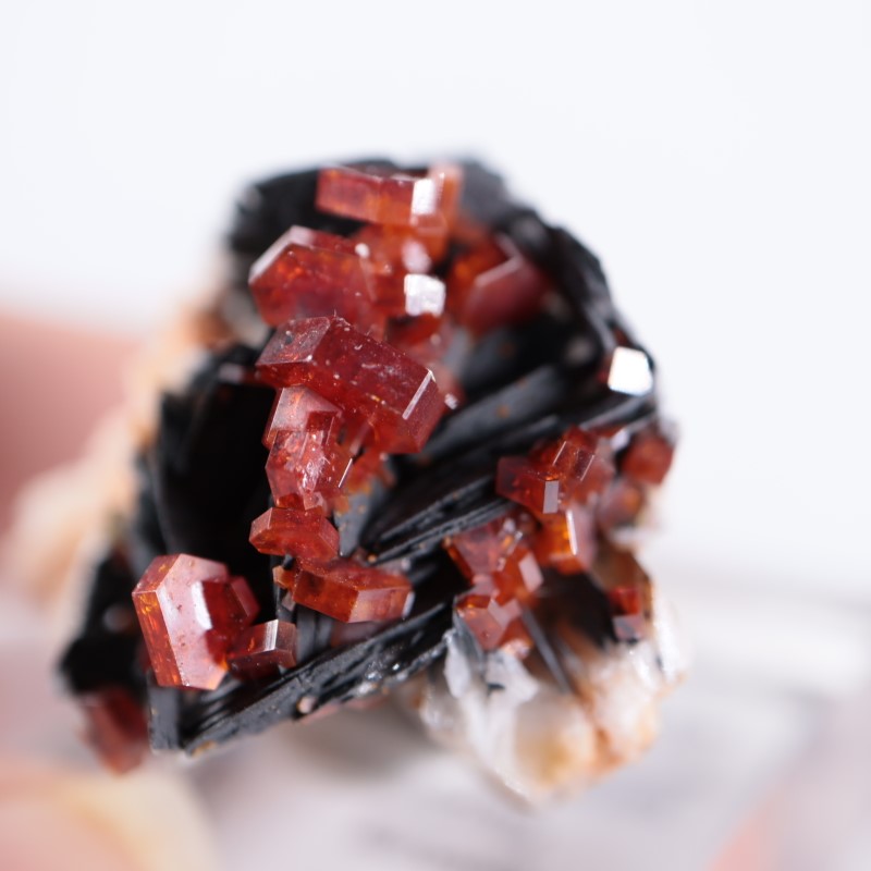 ����å������Хʥǥ��ʥ���