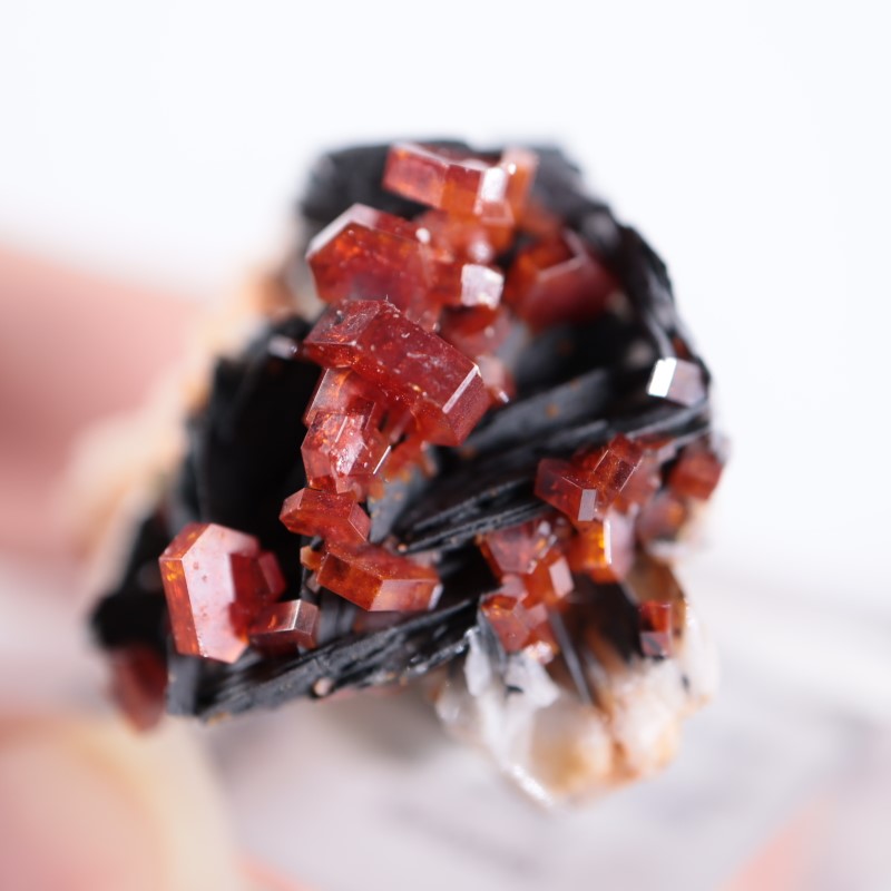 ����å������Хʥǥ��ʥ���