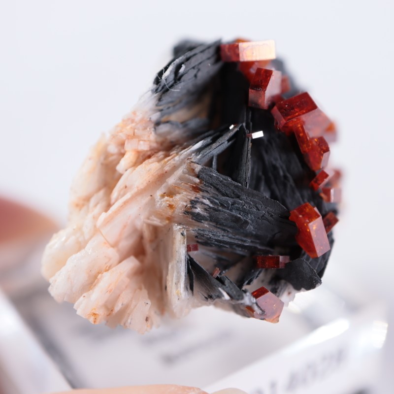 ����å������Хʥǥ��ʥ���