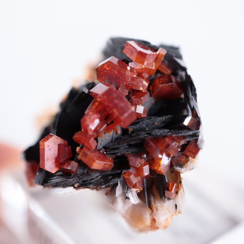 ����å������Хʥǥ��ʥ���