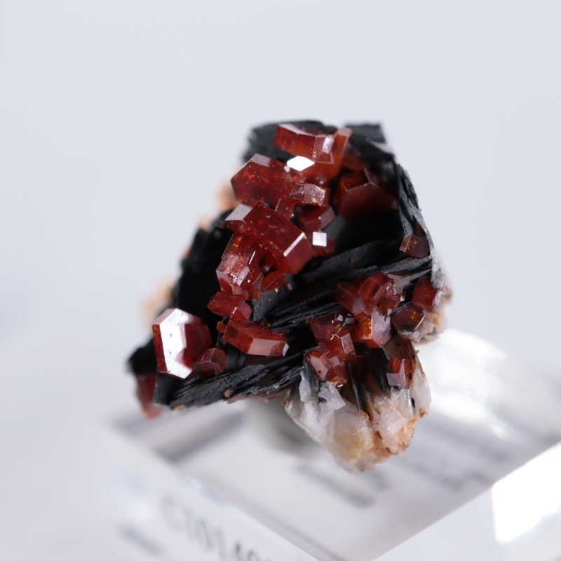 ����å������Хʥǥ��ʥ���