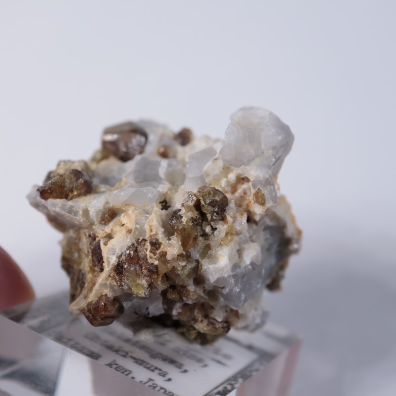 ����ۻ����٥�����