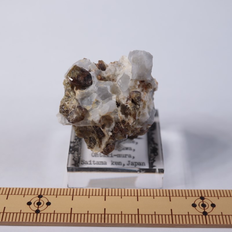 ����ۻ����٥�����