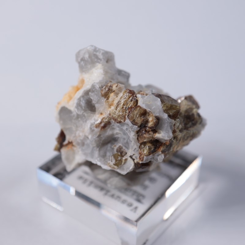 ����ۻ����٥�����