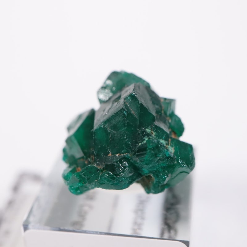 ���󥴻����������ץơ���