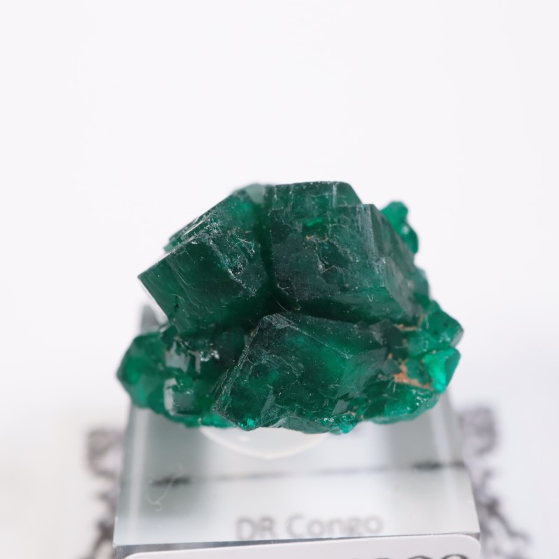 ���󥴻����������ץơ���