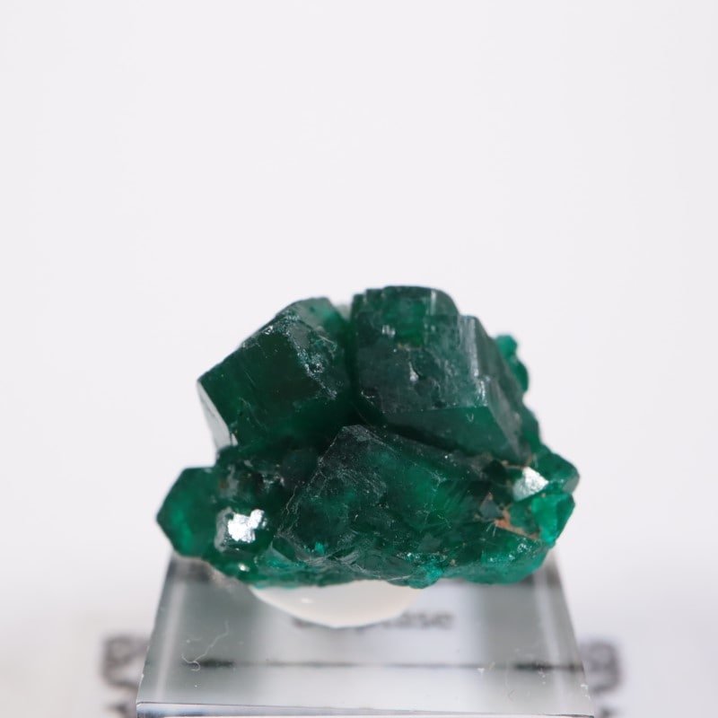 ���󥴻����������ץơ���