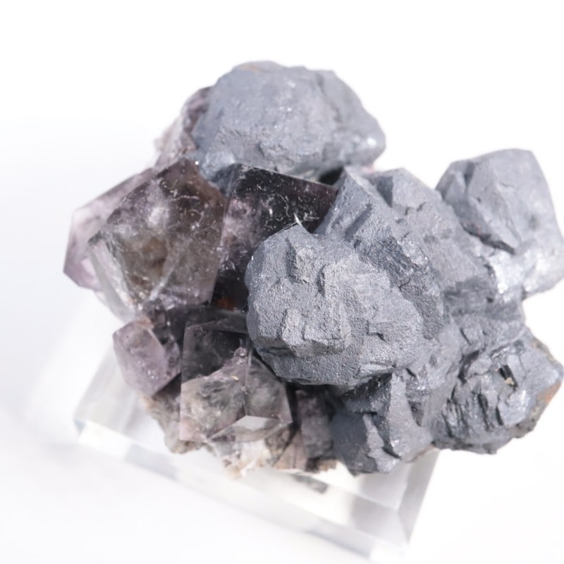 Purple Rain Pocket �ե����饤��