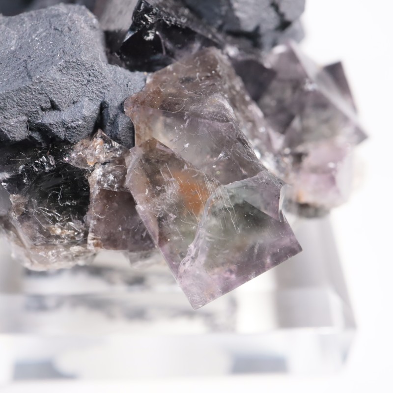 Purple Rain Pocket �ե����饤��