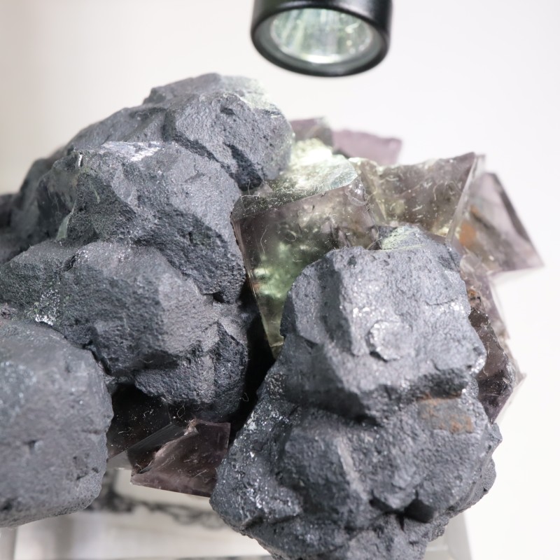 Purple Rain Pocket �ե����饤��