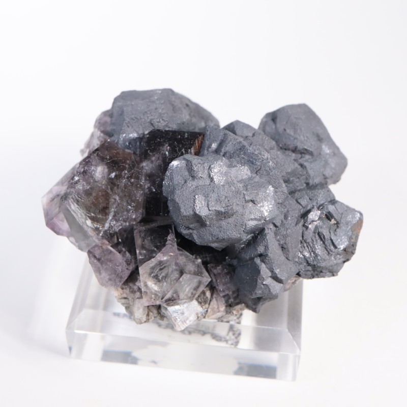 Purple Rain Pocket �ե����饤��