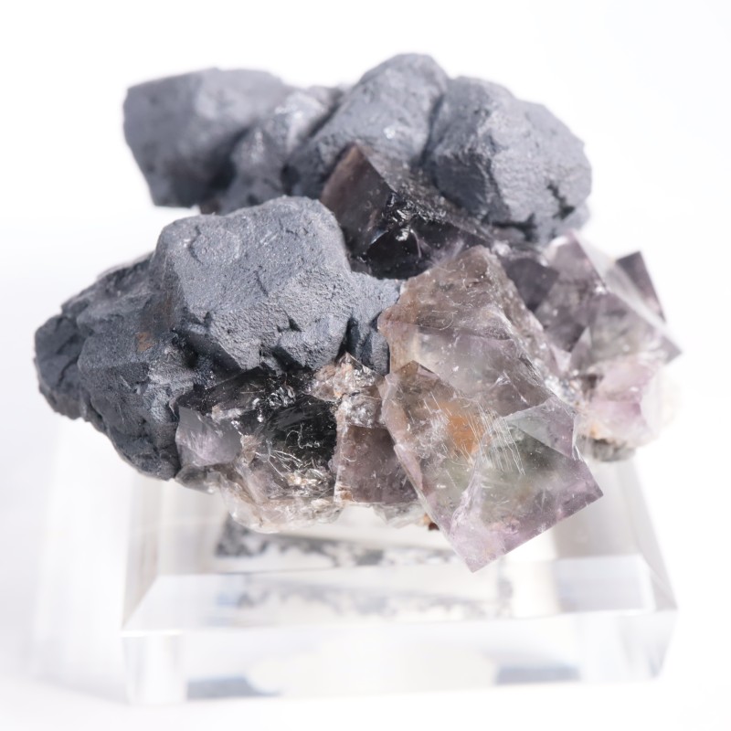 Purple Rain Pocket �ե����饤��