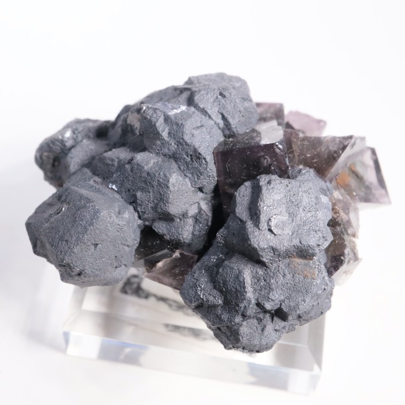 Purple Rain Pocket �ե����饤��