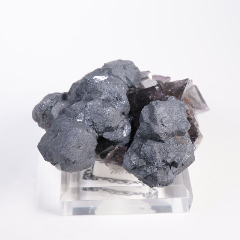 Purple Rain Pocket �ե����饤��