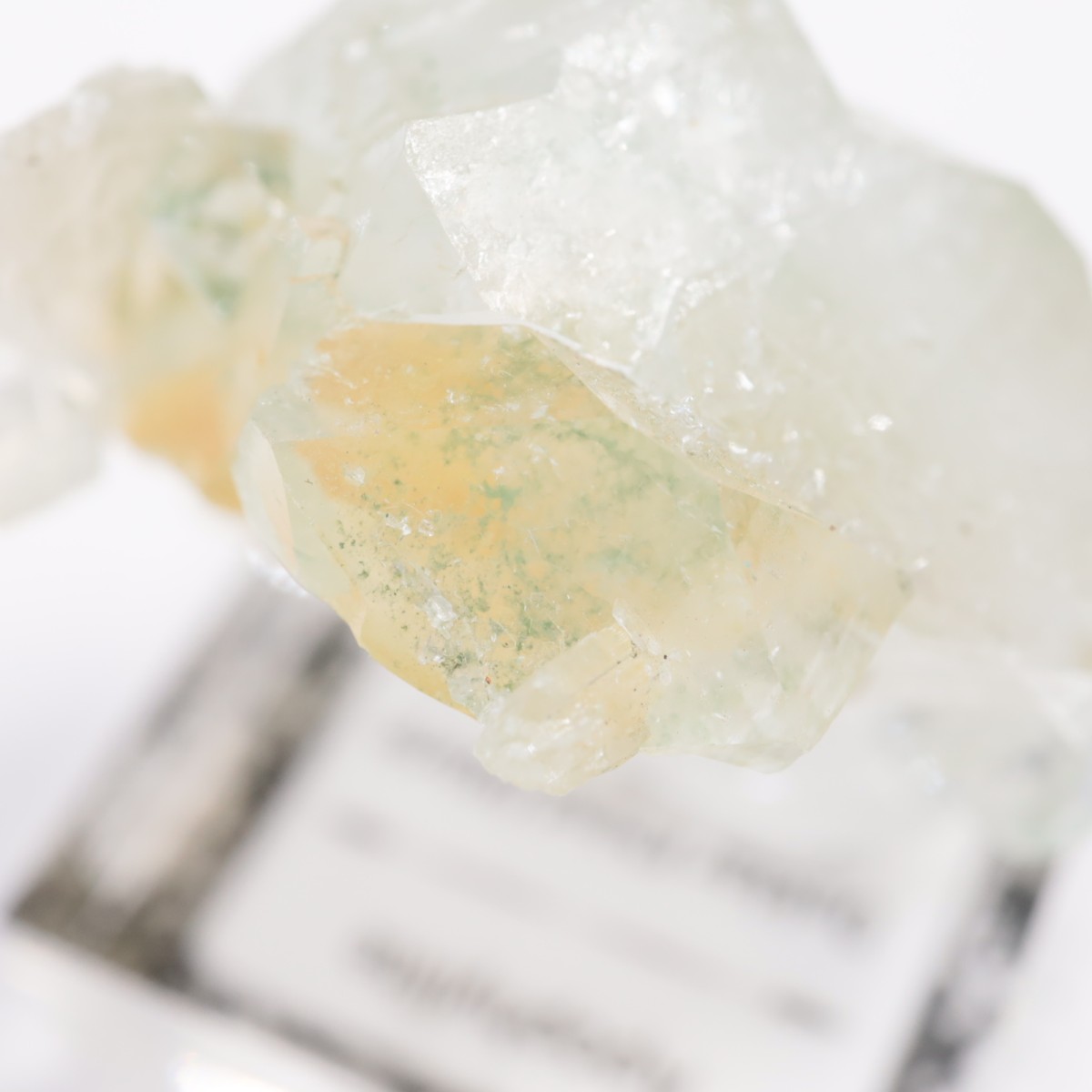 ����ɻ� ���ݥե��饤��