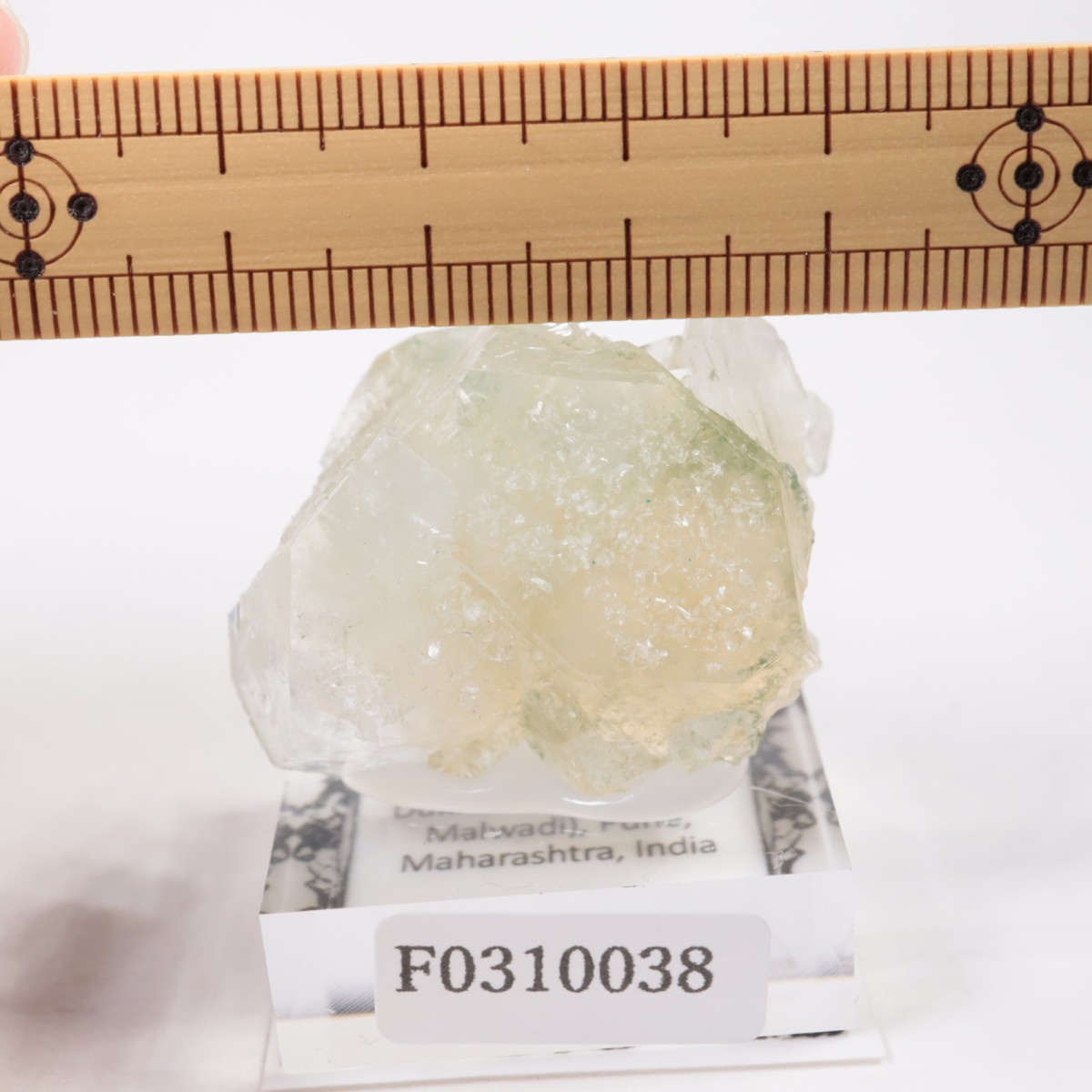 ����ɻ� ���ݥե��饤��