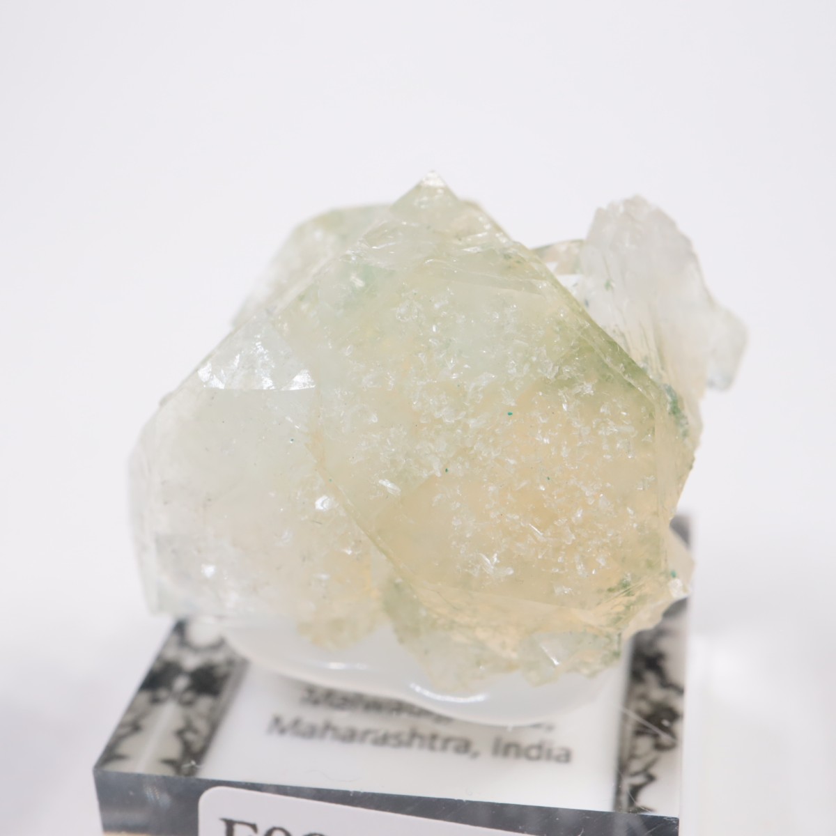 ����ɻ� ���ݥե��饤��