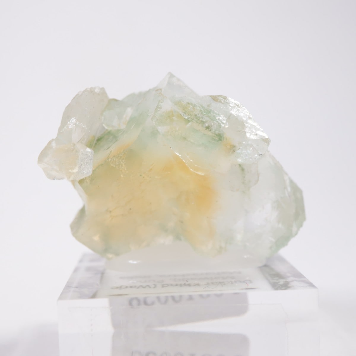 ����ɻ� ���ݥե��饤��