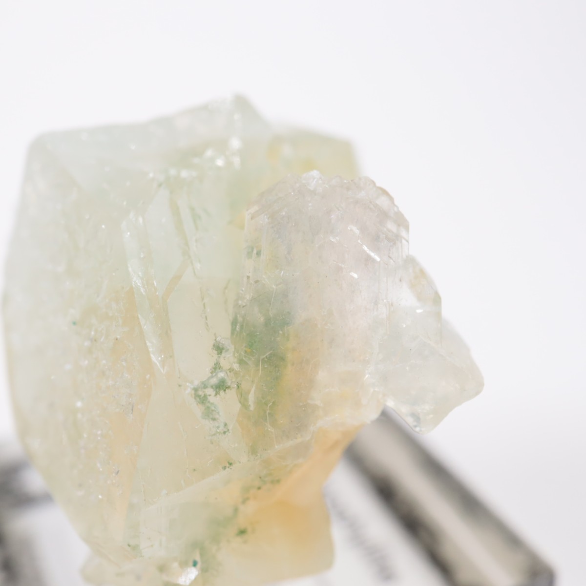 ����ɻ� ���ݥե��饤��