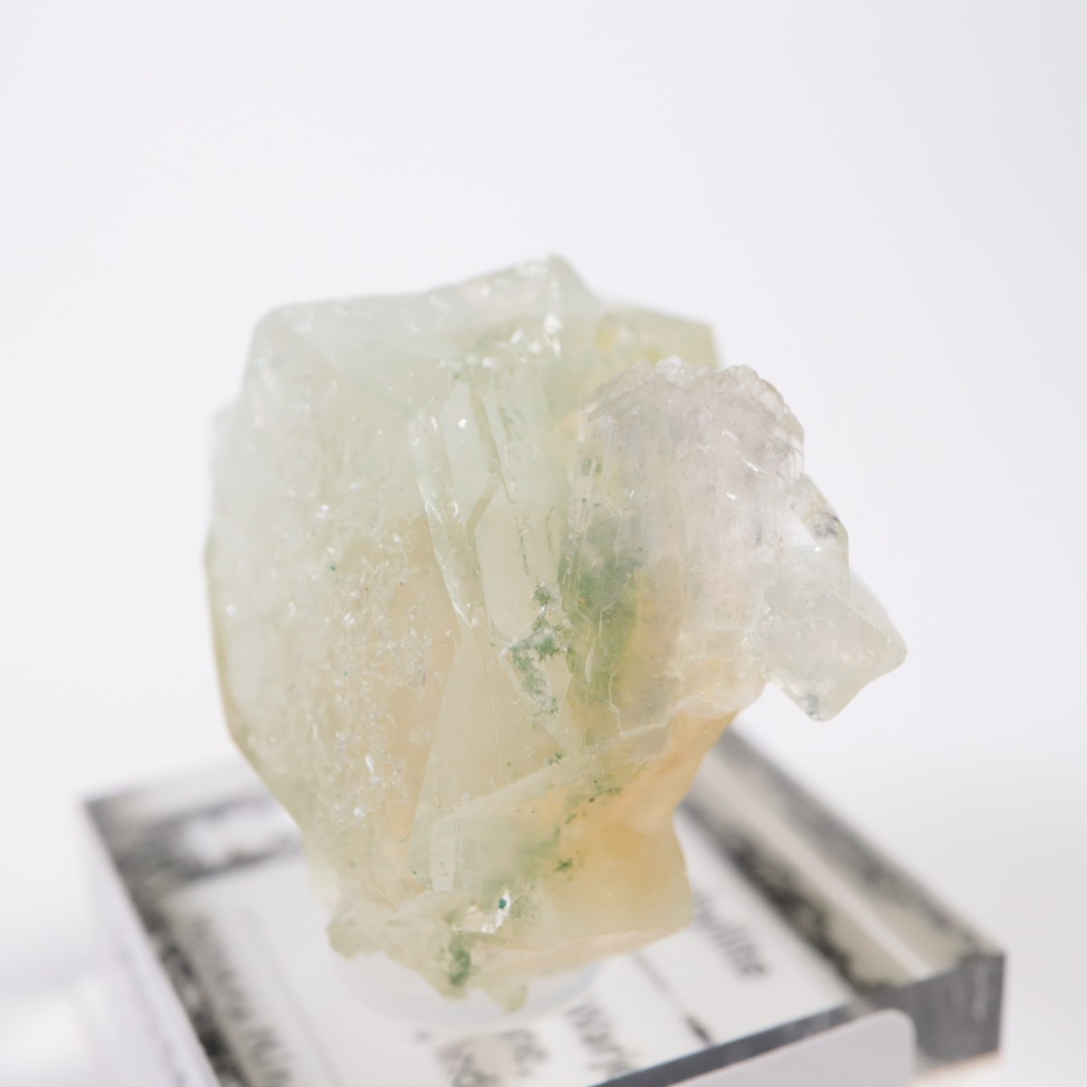 ����ɻ� ���ݥե��饤��