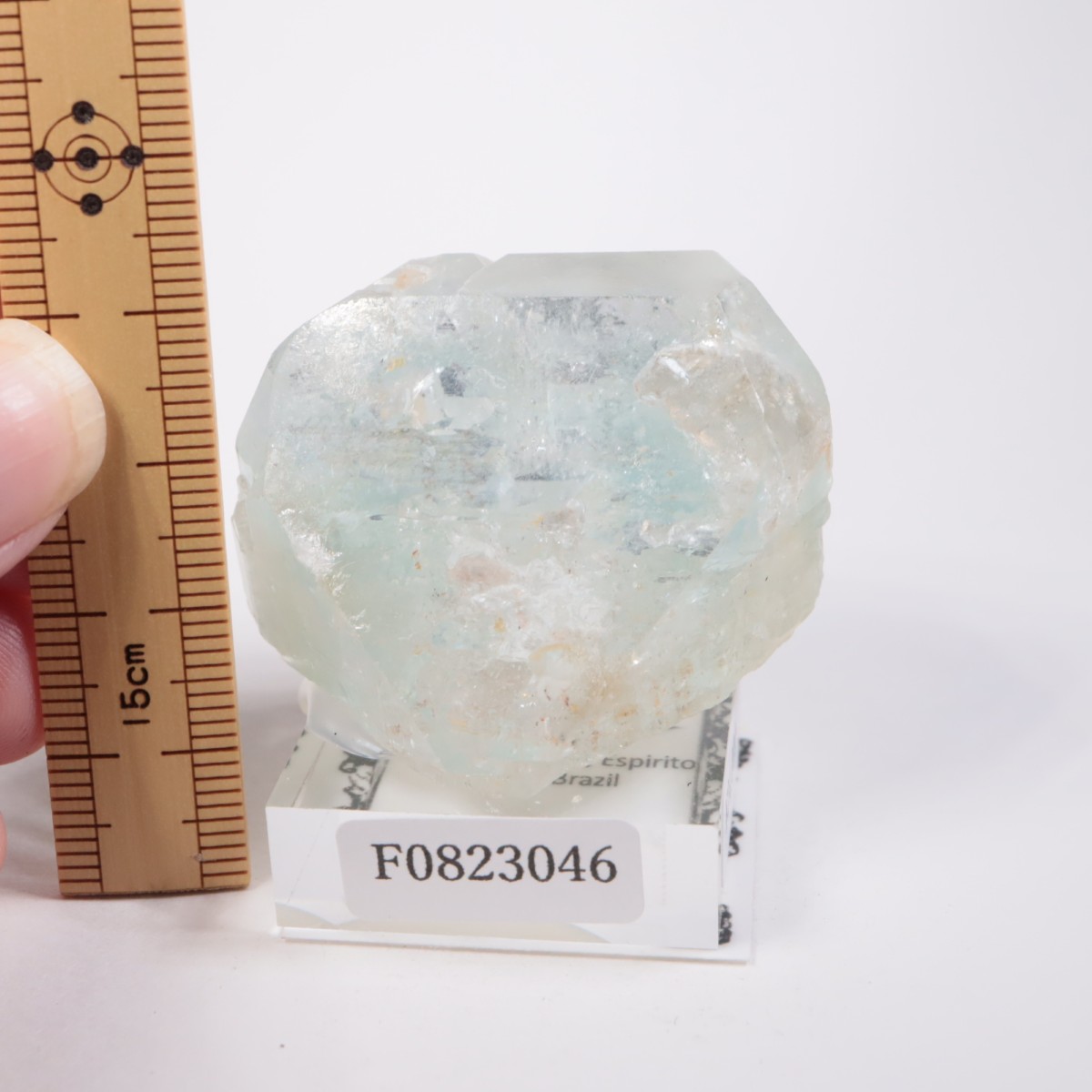 �֥饸�뻺 �ȥѡ���