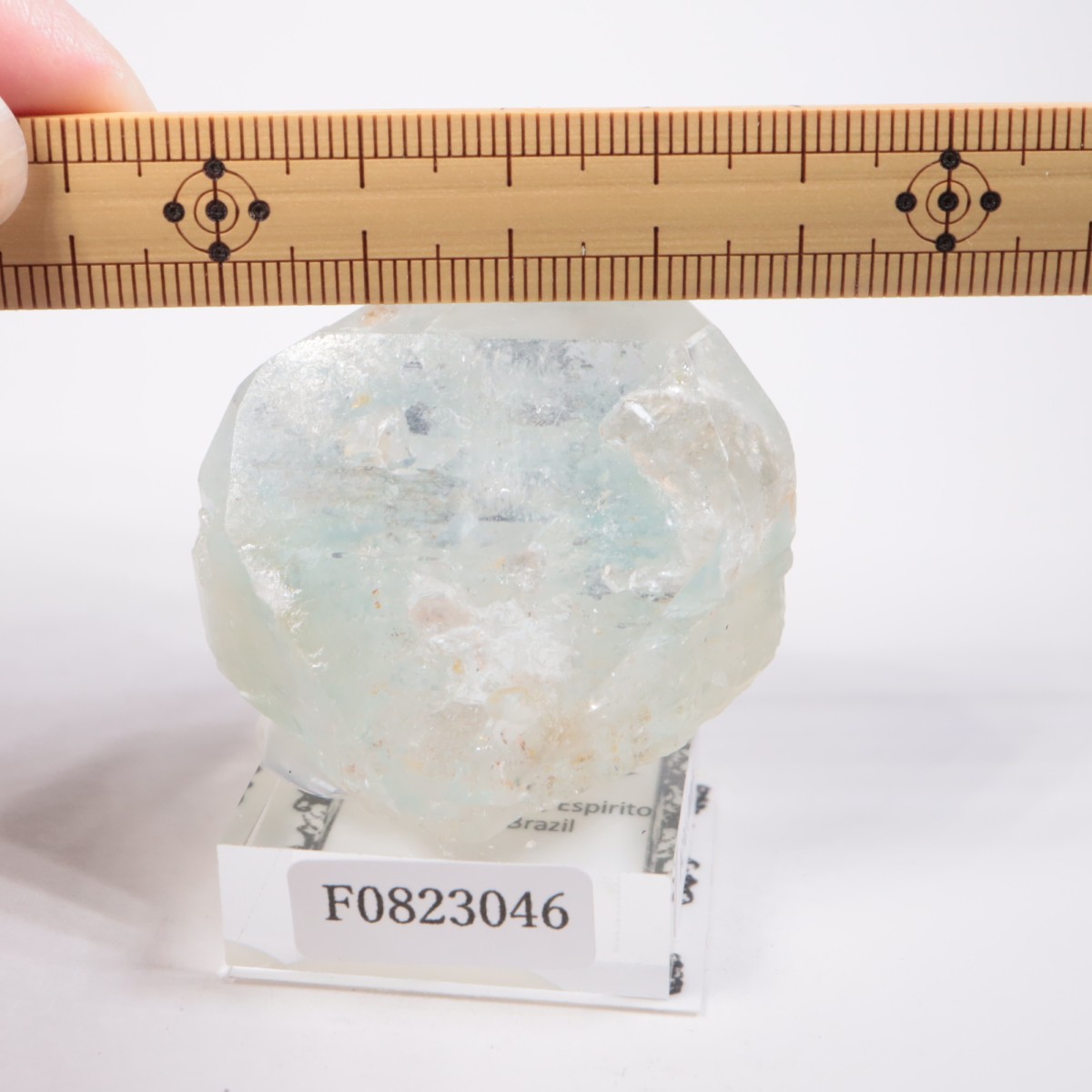 �֥饸�뻺 �ȥѡ���