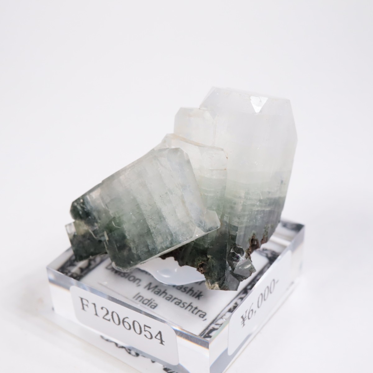 ����ɻ� ���ݥե��饤��