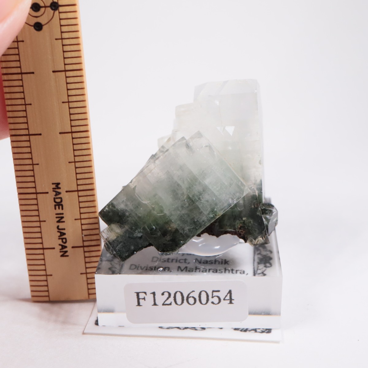 ����ɻ� ���ݥե��饤��