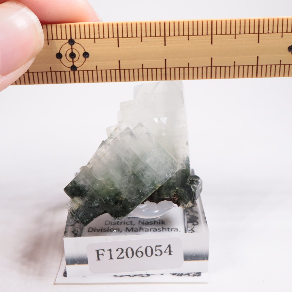 ����ɻ� ���ݥե��饤��