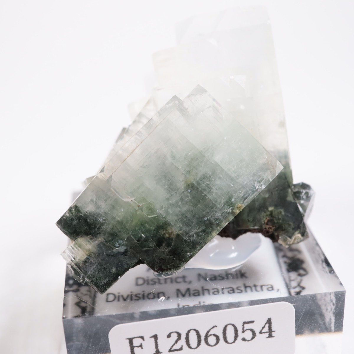 ����ɻ� ���ݥե��饤��