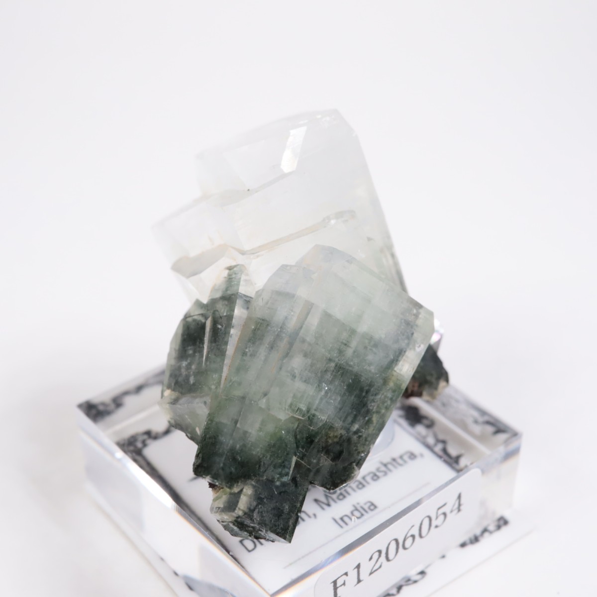 ����ɻ� ���ݥե��饤��