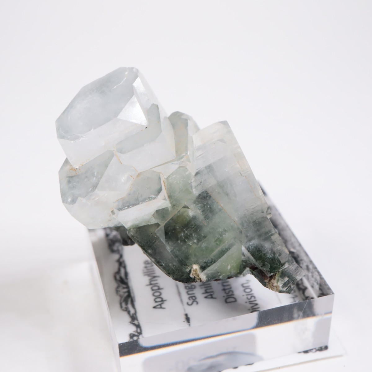 ����ɻ� ���ݥե��饤��