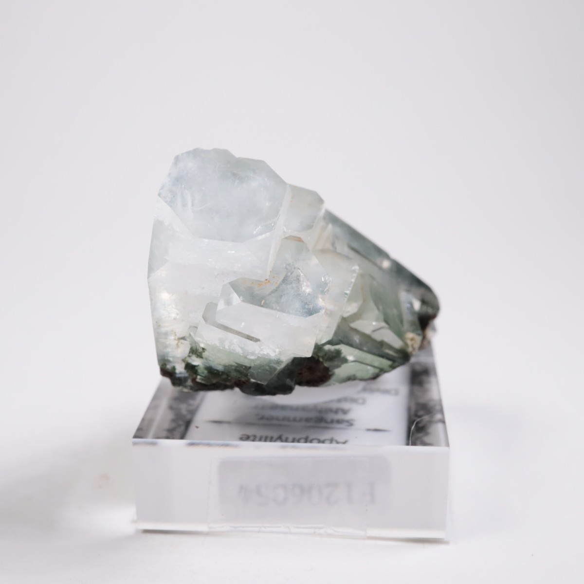 ����ɻ� ���ݥե��饤��