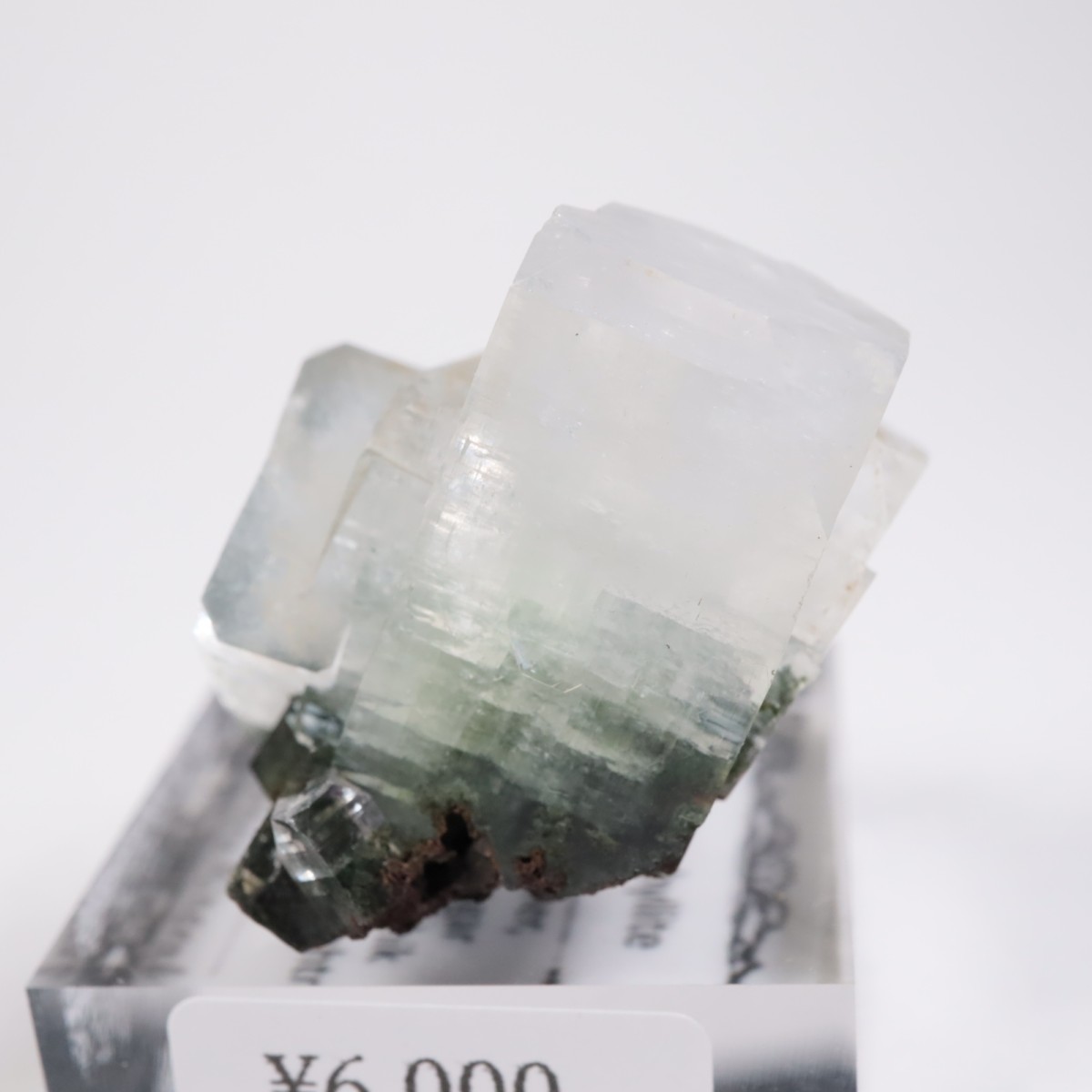 ����ɻ� ���ݥե��饤��