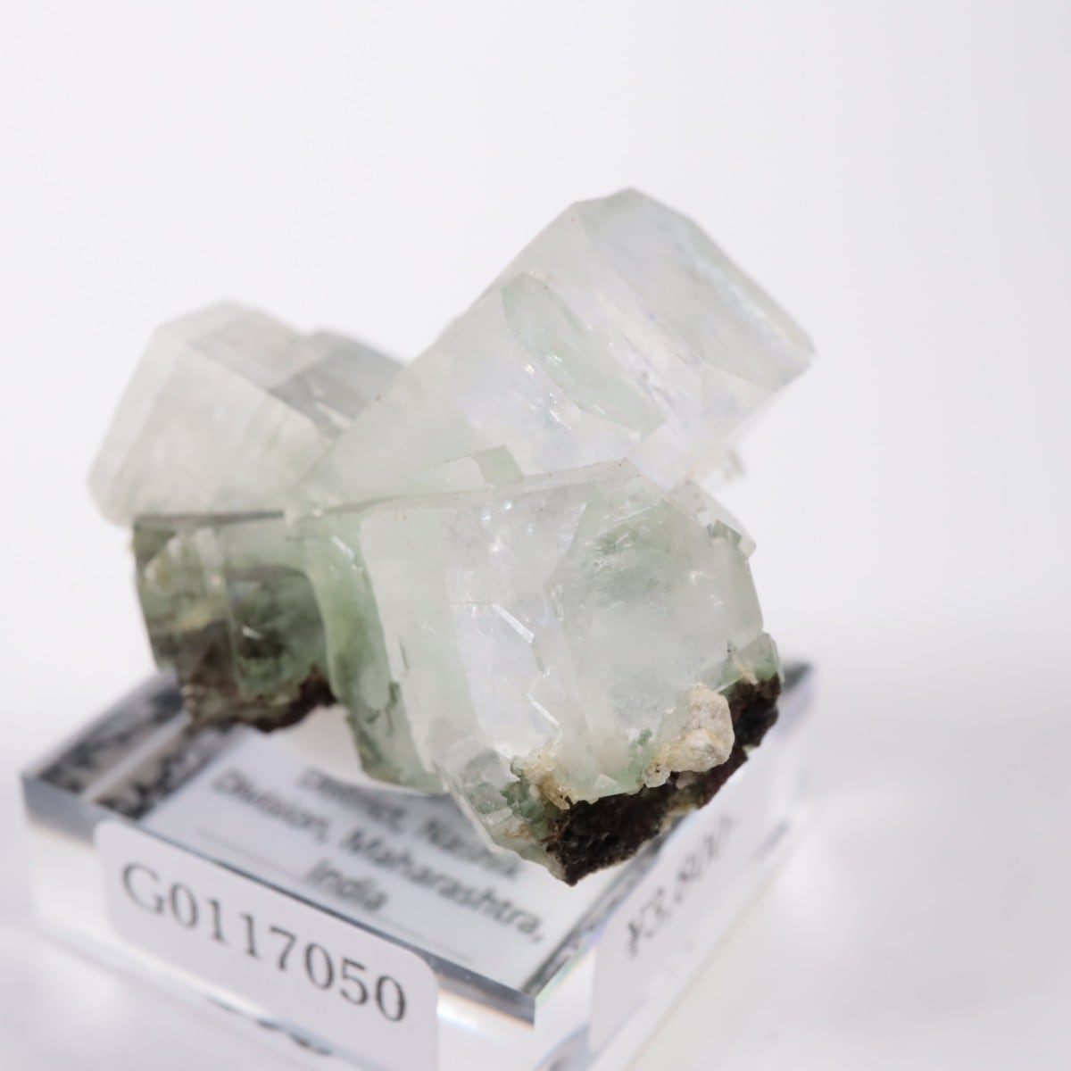 ����ɻ� ���ݥե��饤��