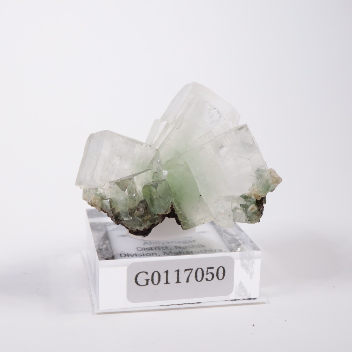 ����ɻ� ���ݥե��饤��