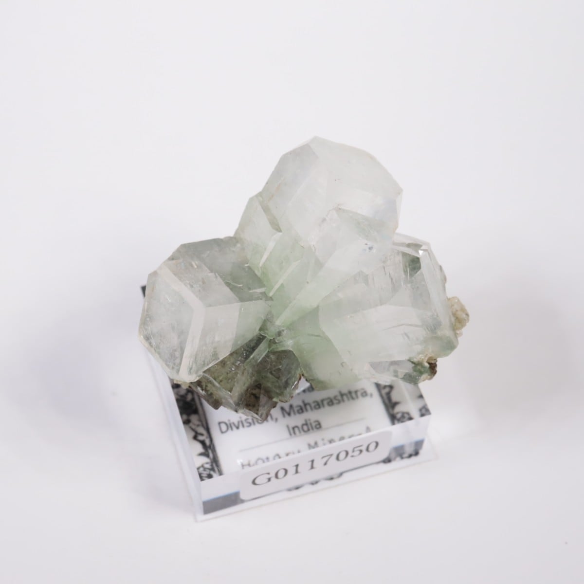 ����ɻ� ���ݥե��饤��